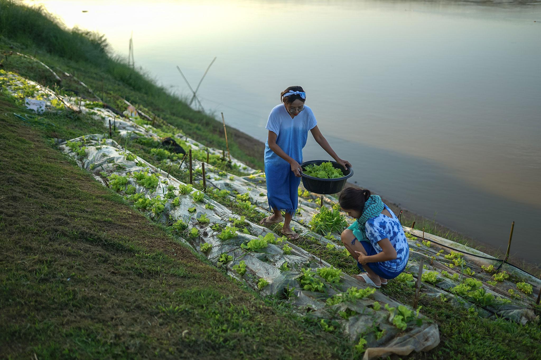 Chiangkhan River Mountain Resort Chiang Khan Extérieur photo